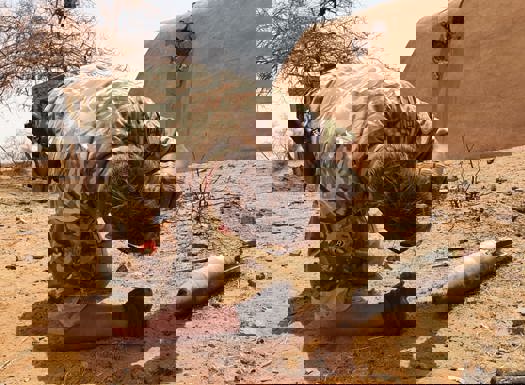 An Army officer led on ground checking weapon shell. 