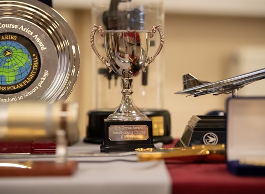 A selection of trophies on a table top